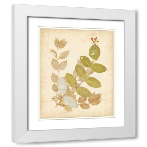 Natures Collage II White Modern Wood Framed Art Print with Double Matting by Vision Studio
