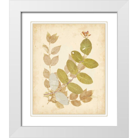 Natures Collage II White Modern Wood Framed Art Print with Double Matting by Vision Studio