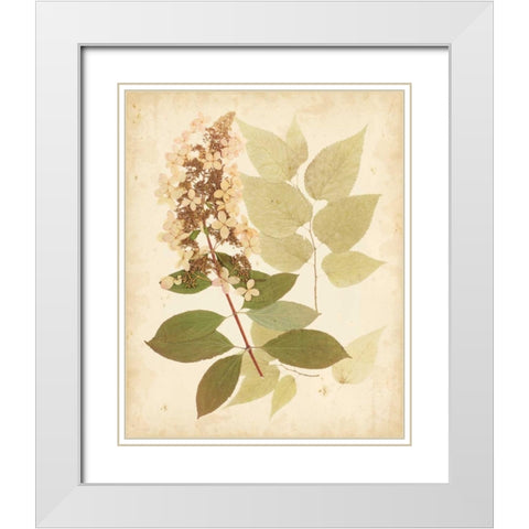 Natures Collage III White Modern Wood Framed Art Print with Double Matting by Vision Studio