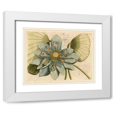 Blue Lotus Flower I White Modern Wood Framed Art Print with Double Matting by Vision Studio
