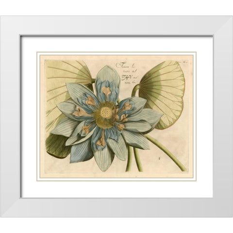 Blue Lotus Flower I White Modern Wood Framed Art Print with Double Matting by Vision Studio