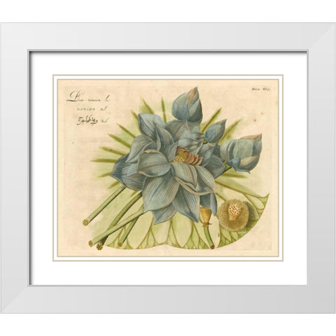 Blue Lotus Flower II White Modern Wood Framed Art Print with Double Matting by Vision Studio
