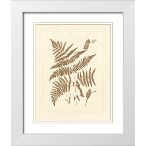 Sepia Ferns I White Modern Wood Framed Art Print with Double Matting by Vision Studio