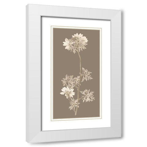 Taupe Nature Study II White Modern Wood Framed Art Print with Double Matting by Vision Studio