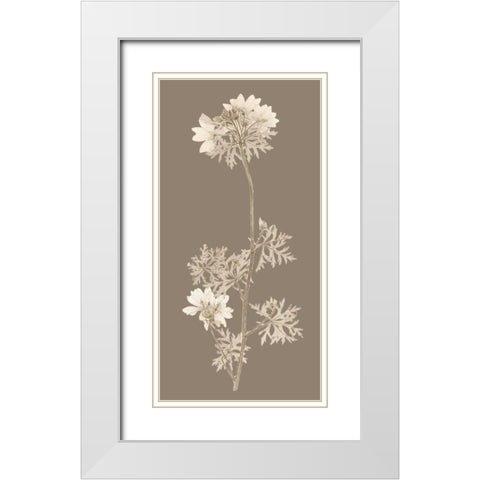 Taupe Nature Study II White Modern Wood Framed Art Print with Double Matting by Vision Studio