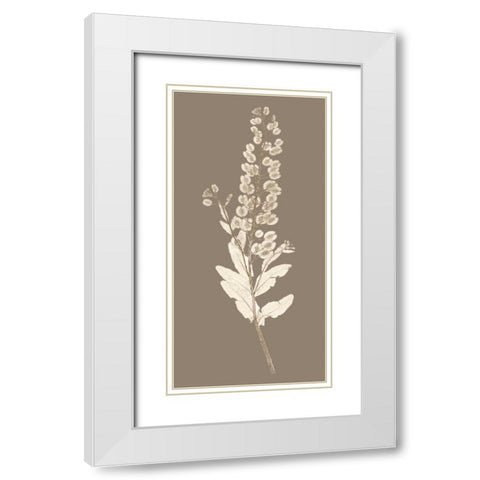Taupe Nature Study III White Modern Wood Framed Art Print with Double Matting by Vision Studio