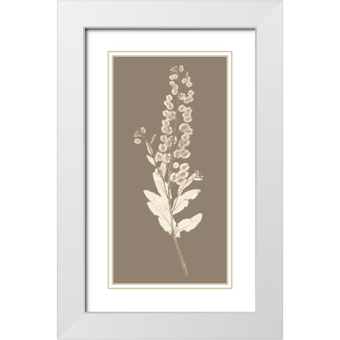 Taupe Nature Study III White Modern Wood Framed Art Print with Double Matting by Vision Studio