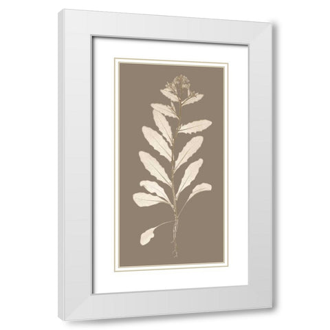 Taupe Nature Study IV White Modern Wood Framed Art Print with Double Matting by Vision Studio