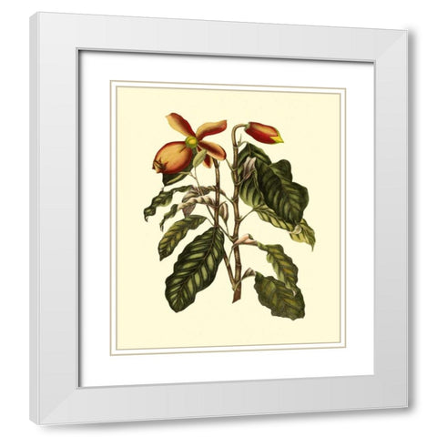 Magnificent Foliage II White Modern Wood Framed Art Print with Double Matting by Vision Studio