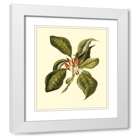 Magnificent Foliage III White Modern Wood Framed Art Print with Double Matting by Vision Studio
