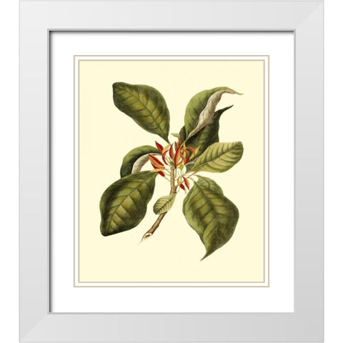 Magnificent Foliage III White Modern Wood Framed Art Print with Double Matting by Vision Studio