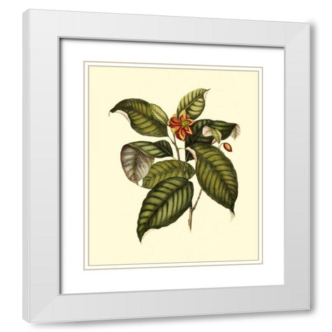 Magnificent Foliage IV White Modern Wood Framed Art Print with Double Matting by Vision Studio