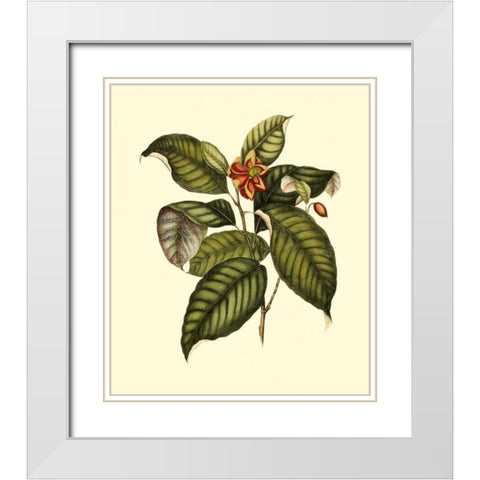 Magnificent Foliage IV White Modern Wood Framed Art Print with Double Matting by Vision Studio