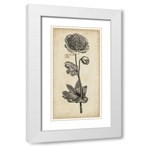 Singular Beauty I White Modern Wood Framed Art Print with Double Matting by Vision Studio