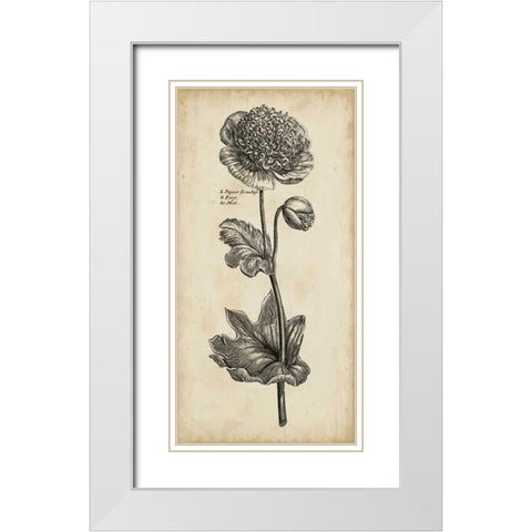 Singular Beauty I White Modern Wood Framed Art Print with Double Matting by Vision Studio