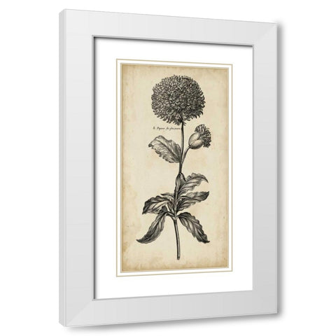 Singular Beauty II White Modern Wood Framed Art Print with Double Matting by Vision Studio