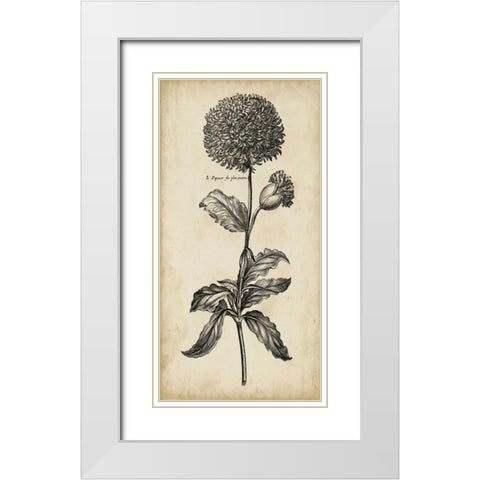 Singular Beauty II White Modern Wood Framed Art Print with Double Matting by Vision Studio