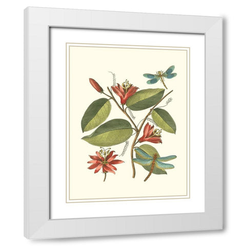 Midsummer Floral IV White Modern Wood Framed Art Print with Double Matting by Vision Studio