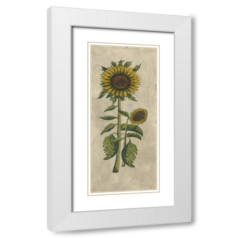 Sunflower Fresco I White Modern Wood Framed Art Print with Double Matting by Vision Studio