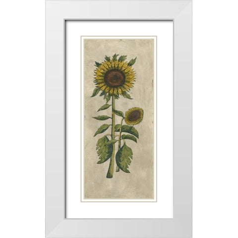 Sunflower Fresco I White Modern Wood Framed Art Print with Double Matting by Vision Studio