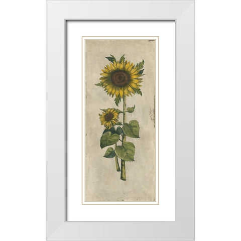 Sunflower Fresco II White Modern Wood Framed Art Print with Double Matting by Vision Studio