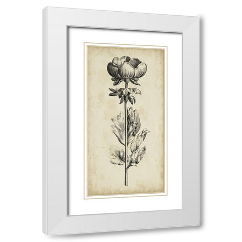 Singular Beauty III White Modern Wood Framed Art Print with Double Matting by Vision Studio