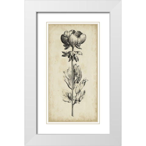 Singular Beauty III White Modern Wood Framed Art Print with Double Matting by Vision Studio
