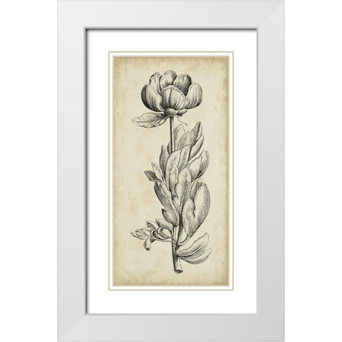 Singular Beauty IV White Modern Wood Framed Art Print with Double Matting by Vision Studio