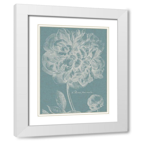 Graceful Peony I White Modern Wood Framed Art Print with Double Matting by Vision Studio