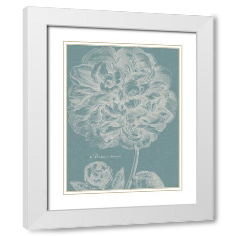 Graceful Peony II White Modern Wood Framed Art Print with Double Matting by Vision Studio