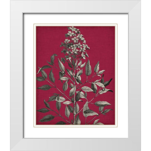 Vivid Chintz IV White Modern Wood Framed Art Print with Double Matting by Vision Studio