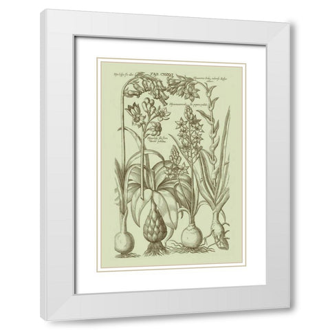 Garden of Flora I White Modern Wood Framed Art Print with Double Matting by Vision Studio