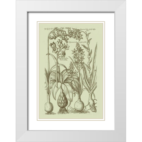 Garden of Flora I White Modern Wood Framed Art Print with Double Matting by Vision Studio
