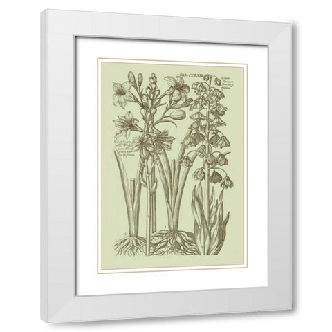 Garden of Flora II White Modern Wood Framed Art Print with Double Matting by Vision Studio