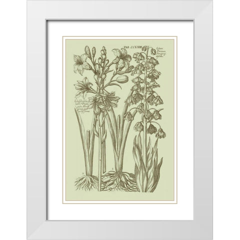 Garden of Flora II White Modern Wood Framed Art Print with Double Matting by Vision Studio