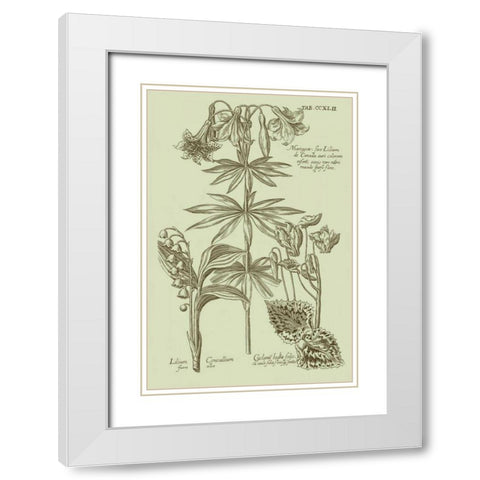 Garden of Flora IV White Modern Wood Framed Art Print with Double Matting by Vision Studio