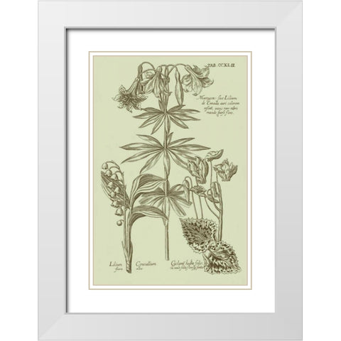 Garden of Flora IV White Modern Wood Framed Art Print with Double Matting by Vision Studio