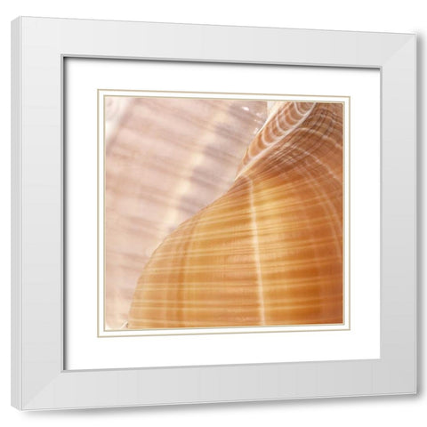 Organic Elements III White Modern Wood Framed Art Print with Double Matting by Vision Studio