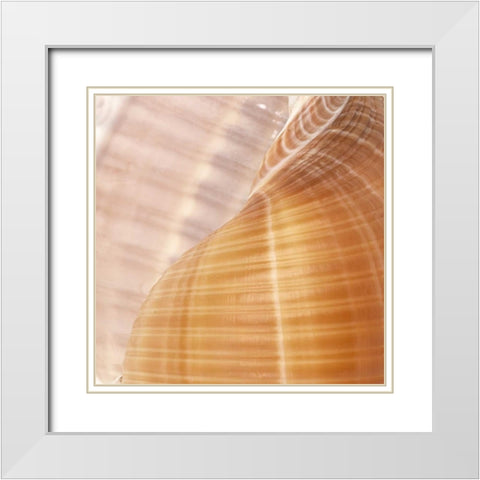 Organic Elements III White Modern Wood Framed Art Print with Double Matting by Vision Studio