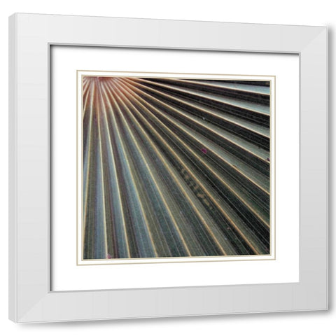 Organic Elements VI White Modern Wood Framed Art Print with Double Matting by Vision Studio