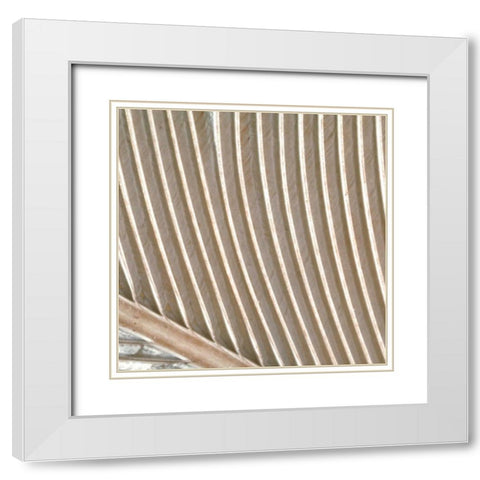 Organic Elements VIII White Modern Wood Framed Art Print with Double Matting by Vision Studio