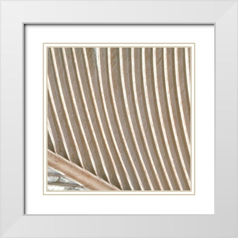 Organic Elements VIII White Modern Wood Framed Art Print with Double Matting by Vision Studio