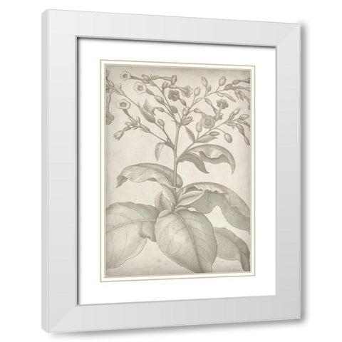 Classic Romance I White Modern Wood Framed Art Print with Double Matting by Vision Studio