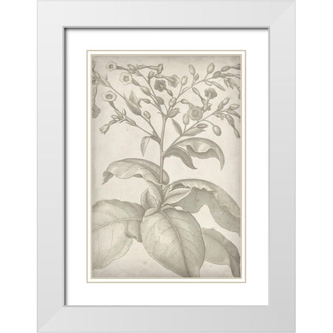 Classic Romance I White Modern Wood Framed Art Print with Double Matting by Vision Studio
