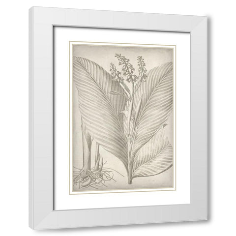 Classic Romance II White Modern Wood Framed Art Print with Double Matting by Vision Studio