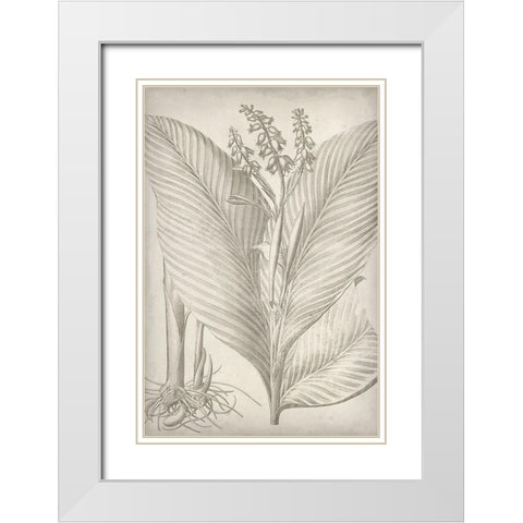 Classic Romance II White Modern Wood Framed Art Print with Double Matting by Vision Studio