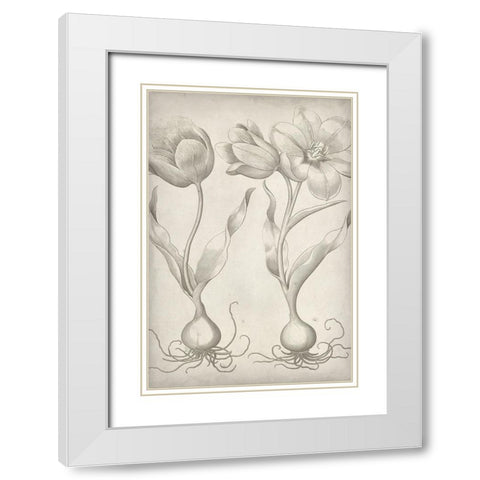 Classic Romance III White Modern Wood Framed Art Print with Double Matting by Vision Studio