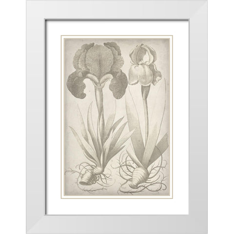 Classic Romance IV White Modern Wood Framed Art Print with Double Matting by Vision Studio