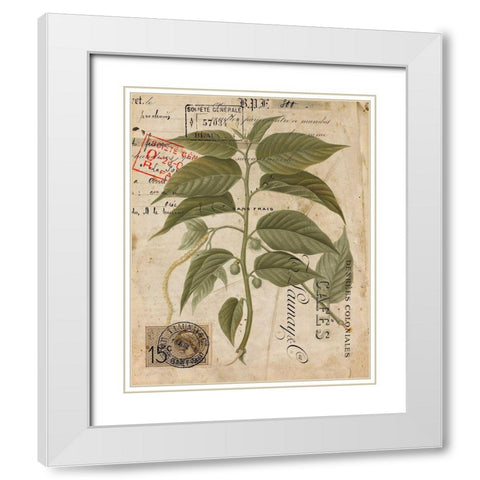 Vintage Natures Greenery II White Modern Wood Framed Art Print with Double Matting by Vision Studio