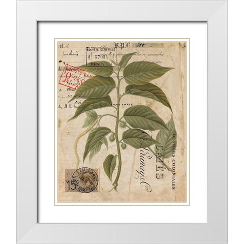 Vintage Natures Greenery II White Modern Wood Framed Art Print with Double Matting by Vision Studio